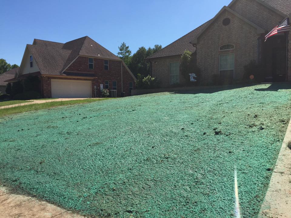 4 Things You Need to Know About Hydroseeding
