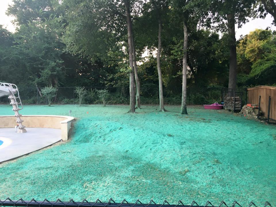 The Benefits of Hydroseeding