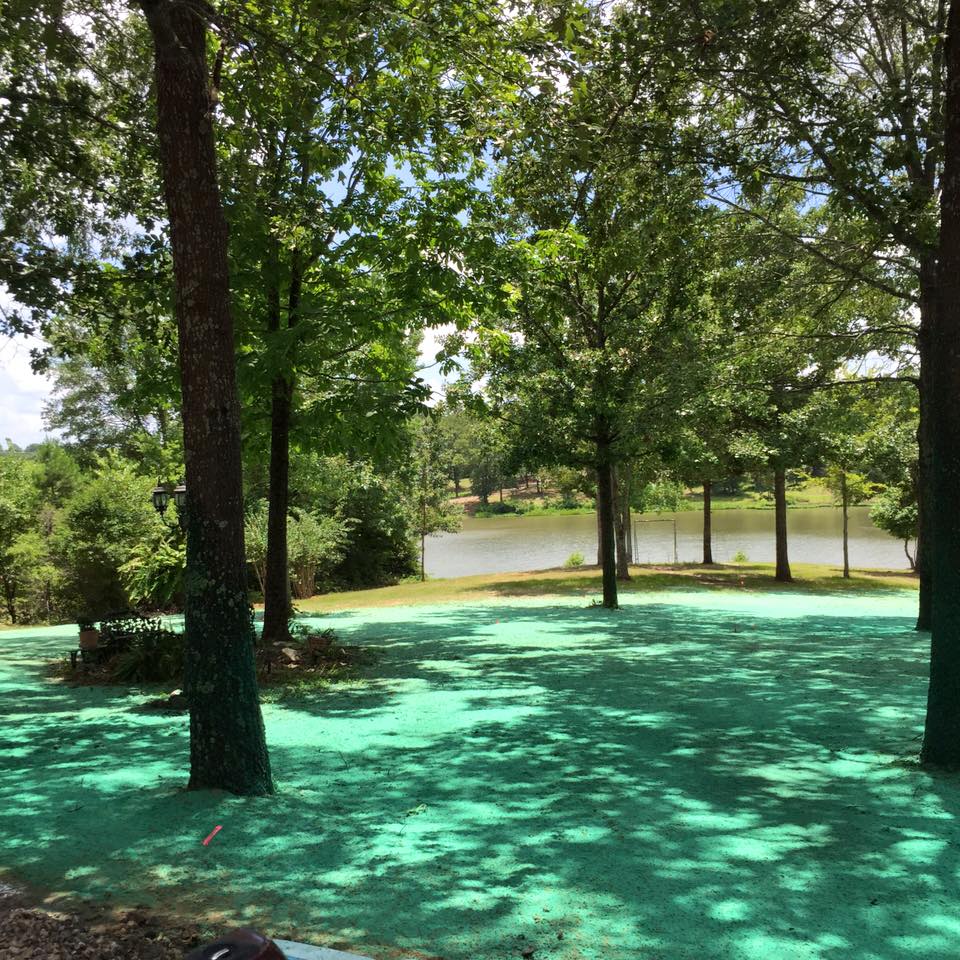 Hydroseeding