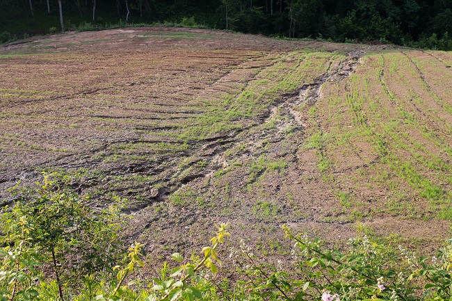 Erosion: Controlling a Natural Process