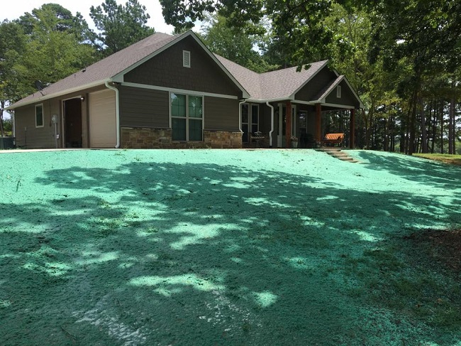 What to Look For in a Hydroseeding Contractor